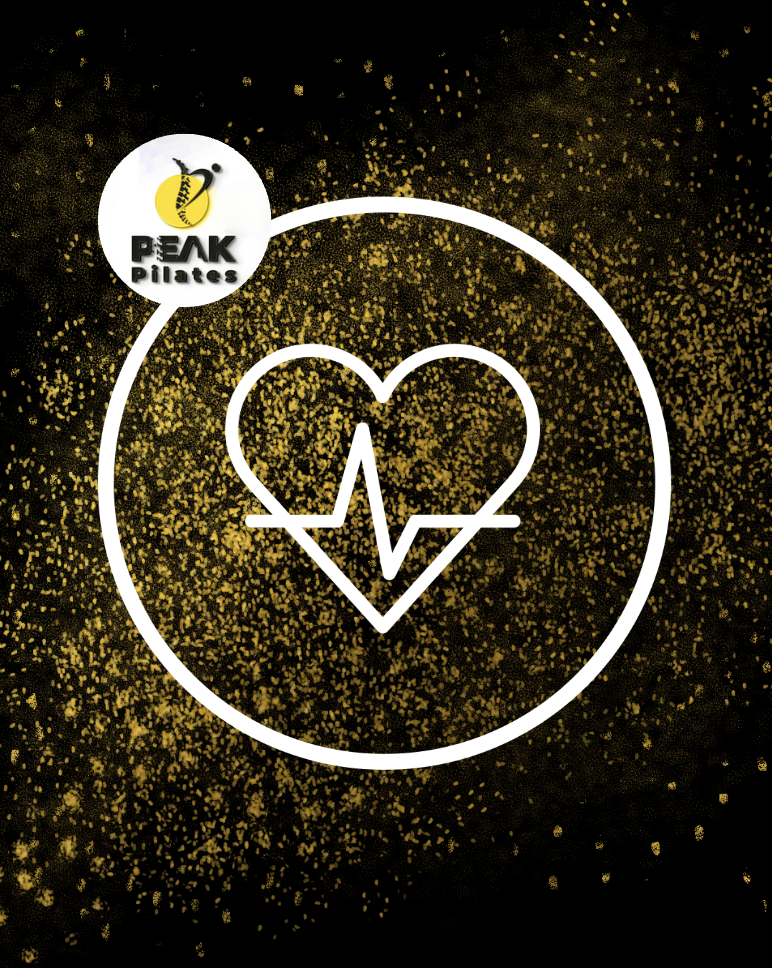 Kardiyovasküler Egzersiz